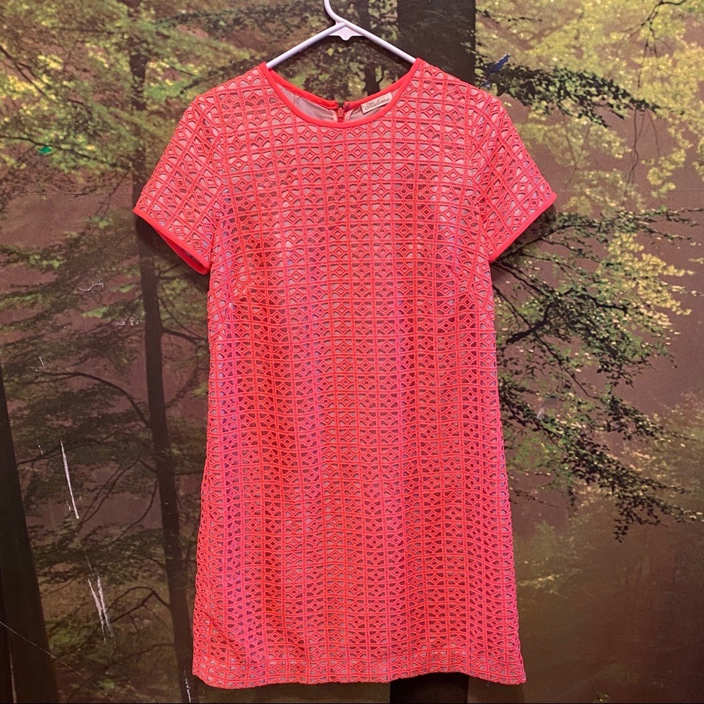 HOT PINK / ORANGE Shoshanna lace a-line dress